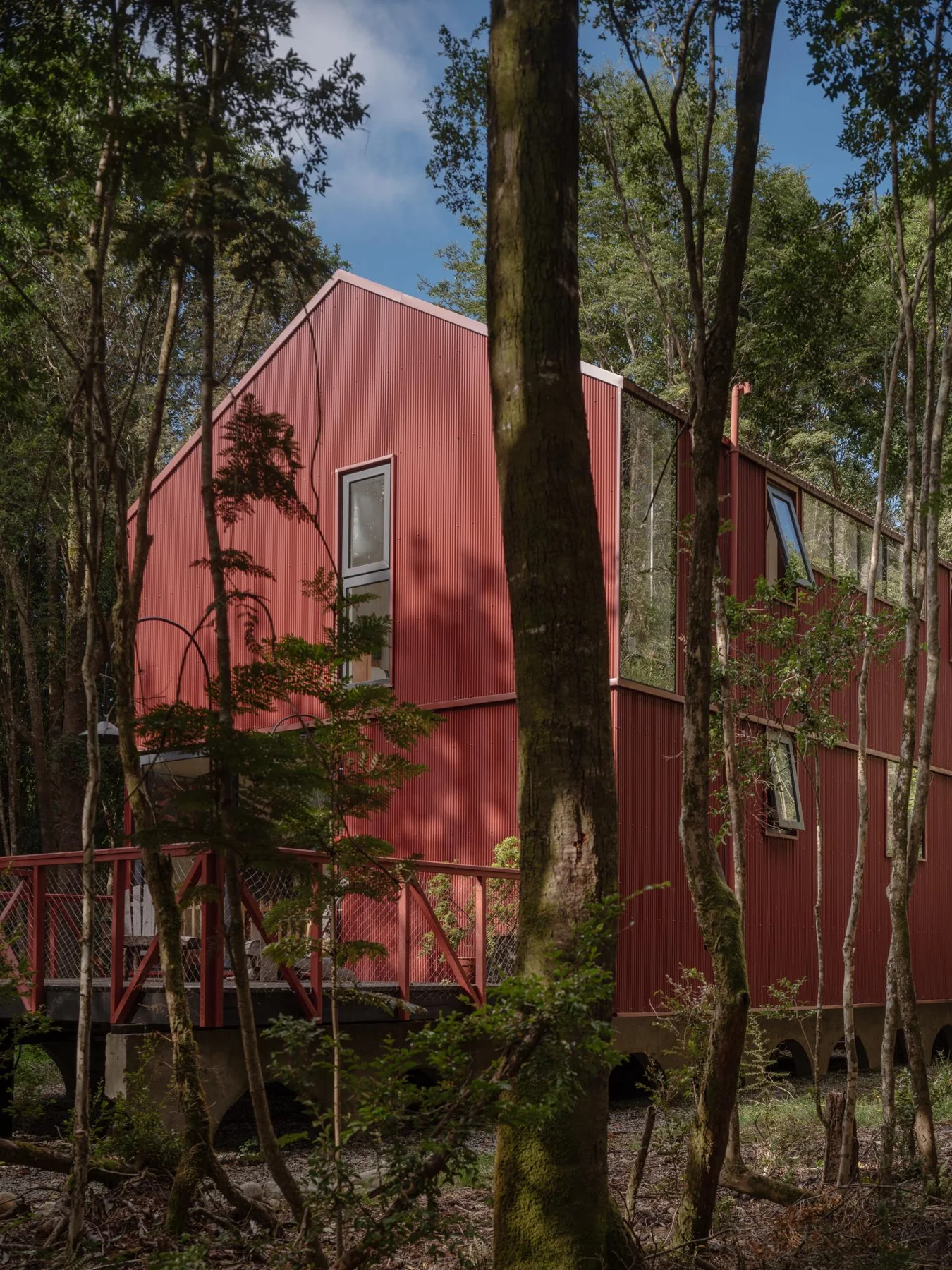 Daiber Aceituno Arquitectos, Marcos Zegers · HOUSE IN THE FOREST