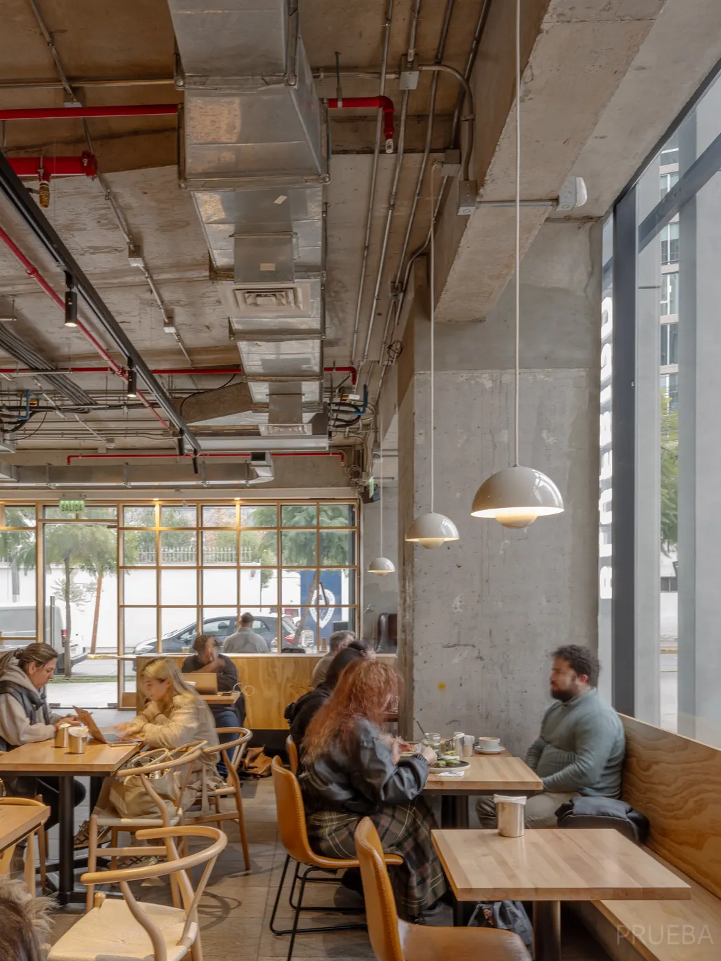 Cafés Blue Bird — Marcos Zegers