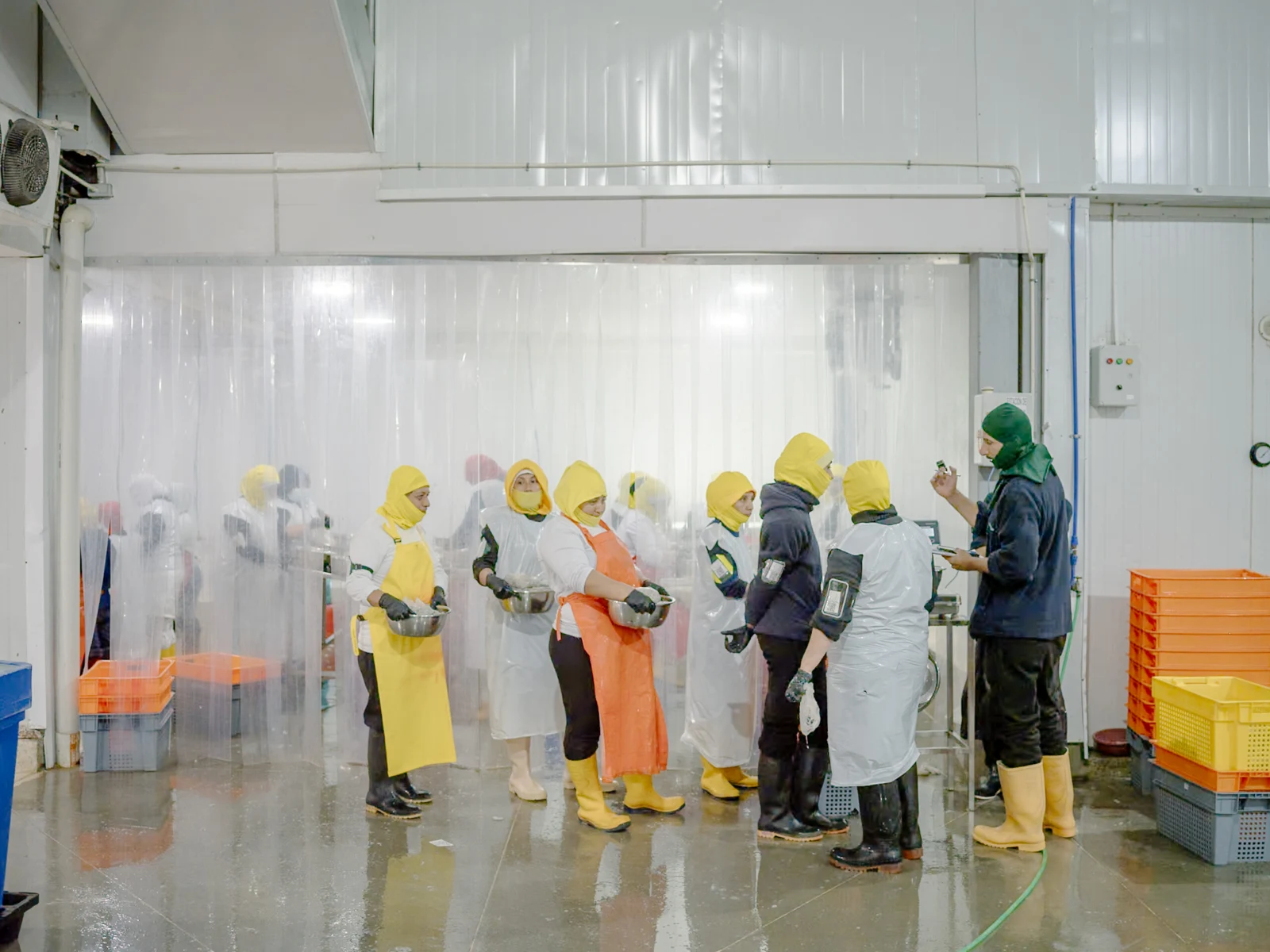 Shrimp Farming, Ecuador — Marcos Zegers