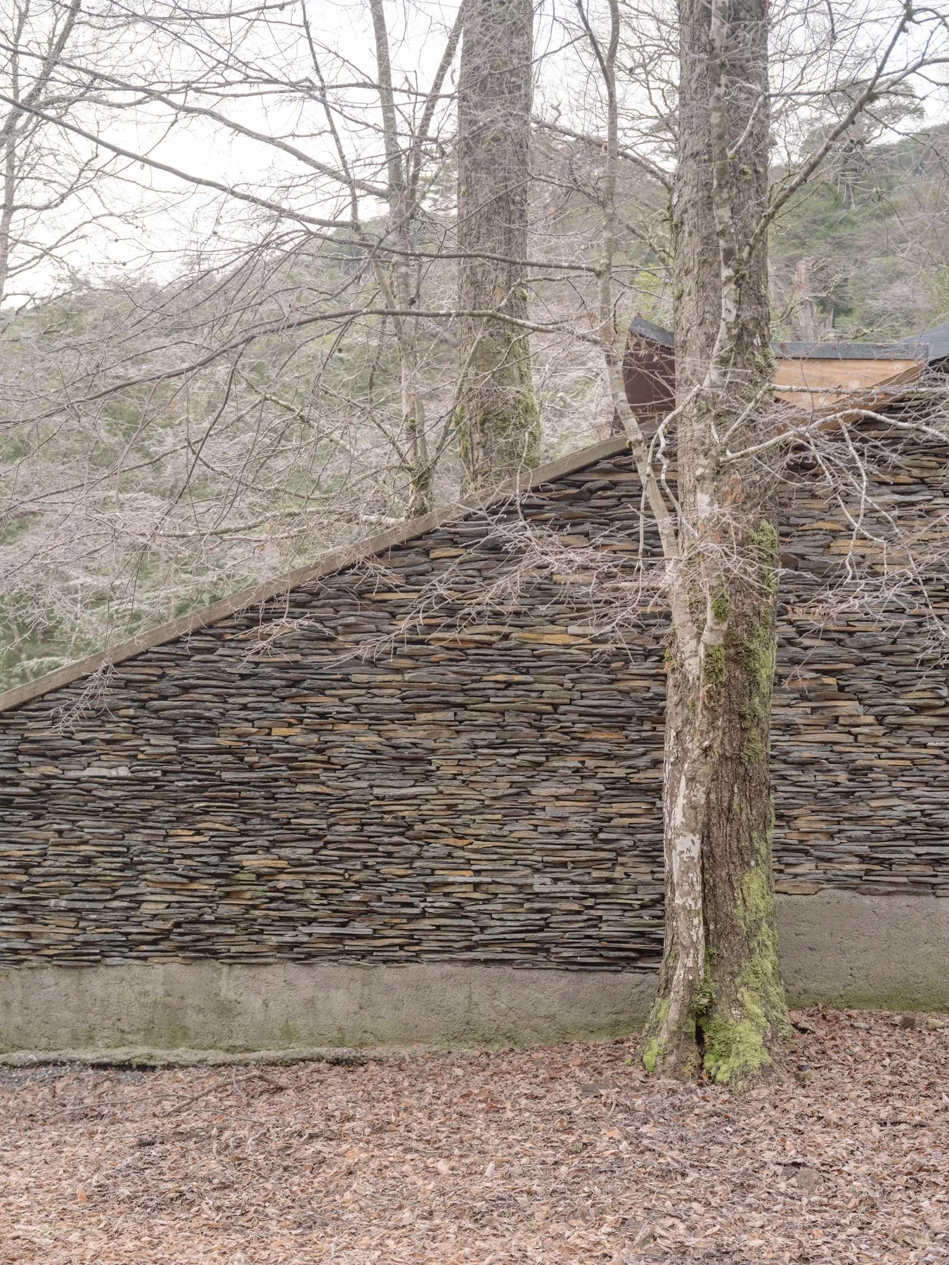 DRAA / Del Rio Arquitectos Asociados, Marcos Zegers · Huerquehue Refuge