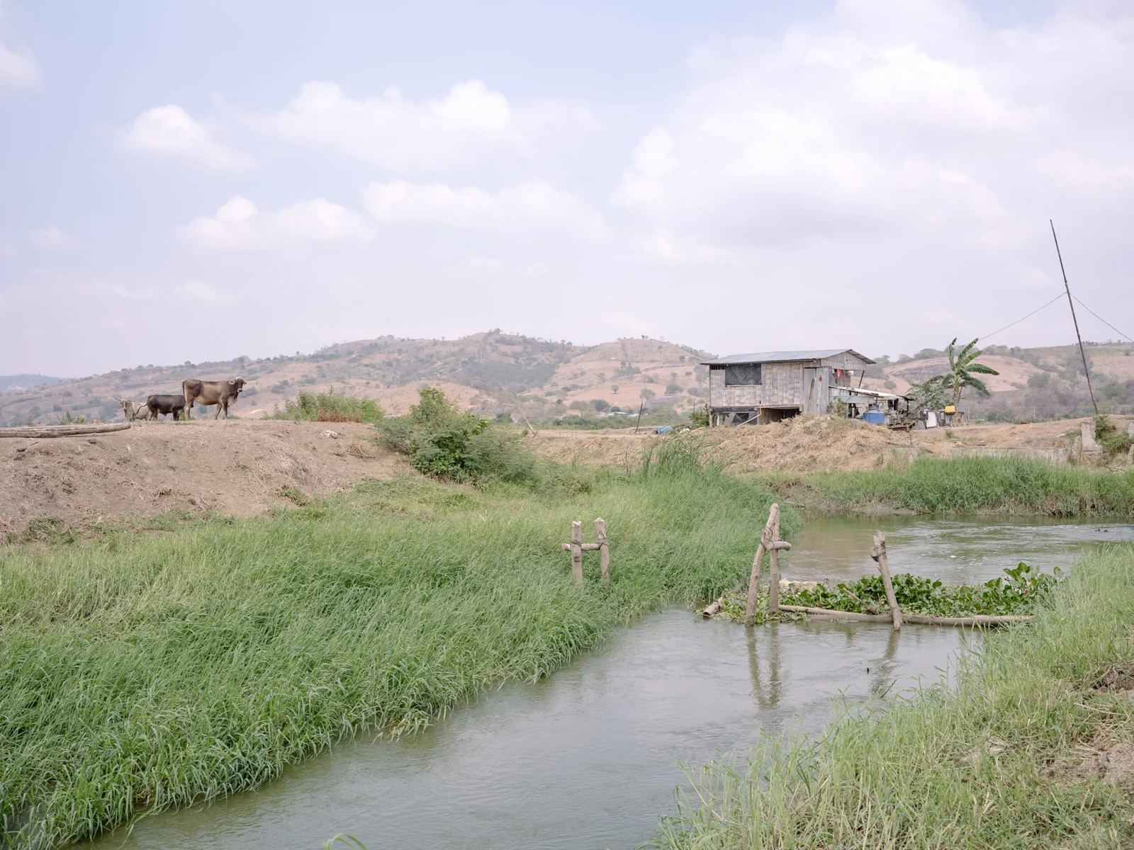 Shrimp Farming, Ecuador — Marcos Zegers