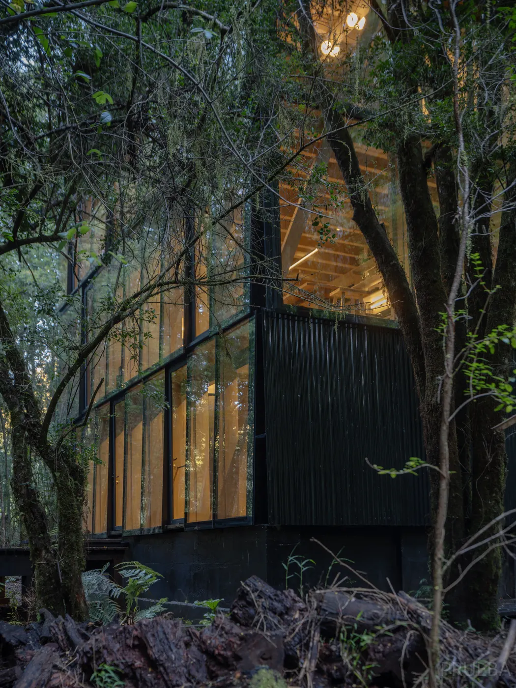 Casa Huilo Huilo — Marcos Zegers