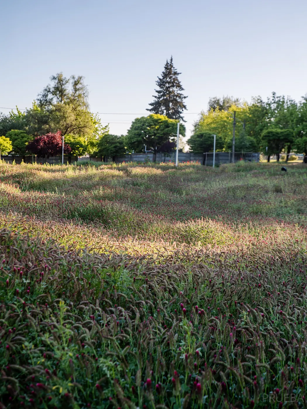 Parque Laja — Marcos Zegers