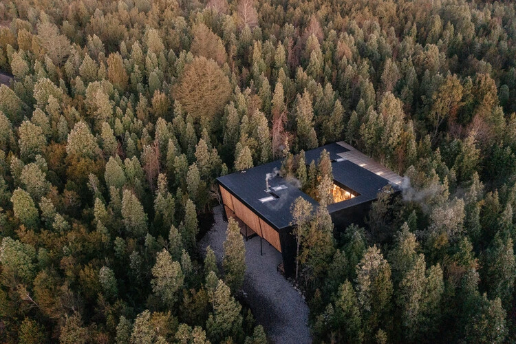 Casa un patio / Lucas Maino Fernandez - Fotografía exterior, Bosque