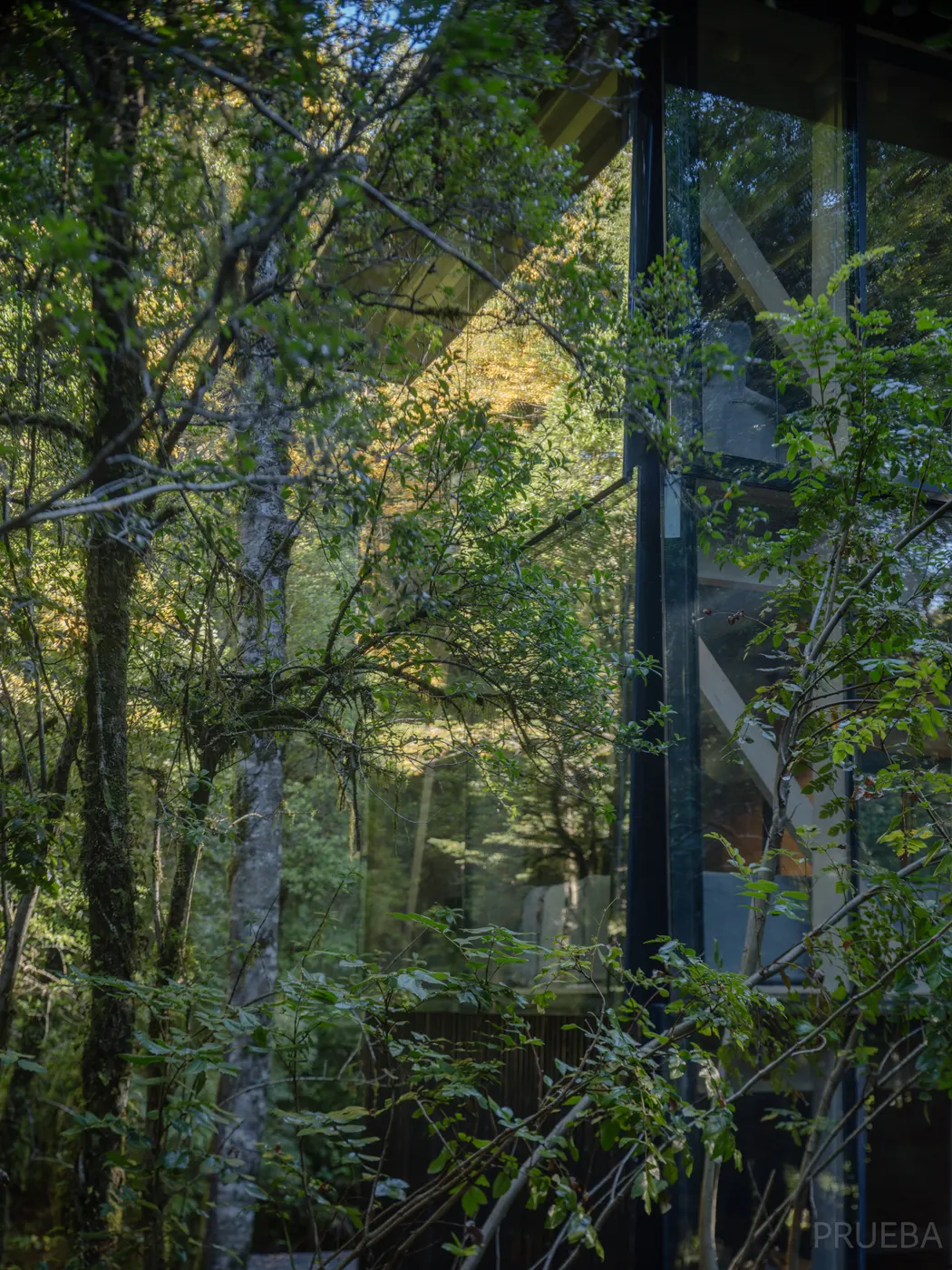 Casa Huilo Huilo — Marcos Zegers