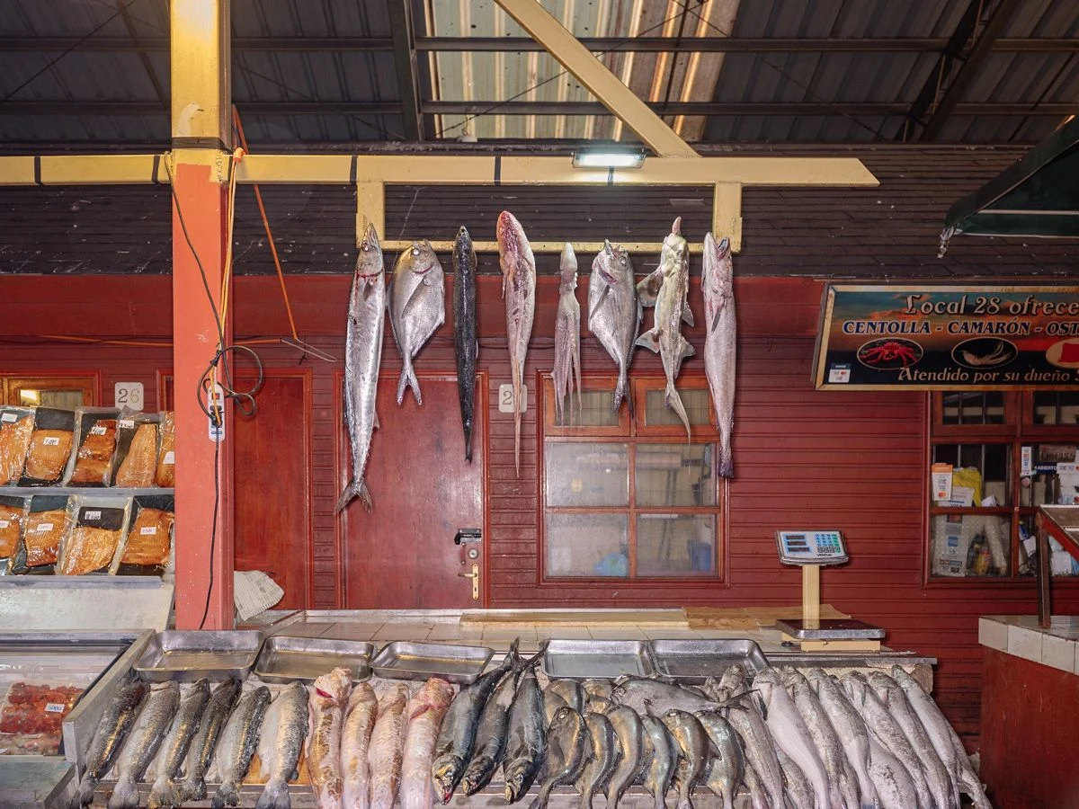 The Wild West of Fish Farming — Marcos Zegers