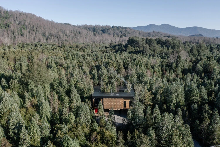 Casa un patio / Lucas Maino Fernandez - Fotografía exterior, Bosque