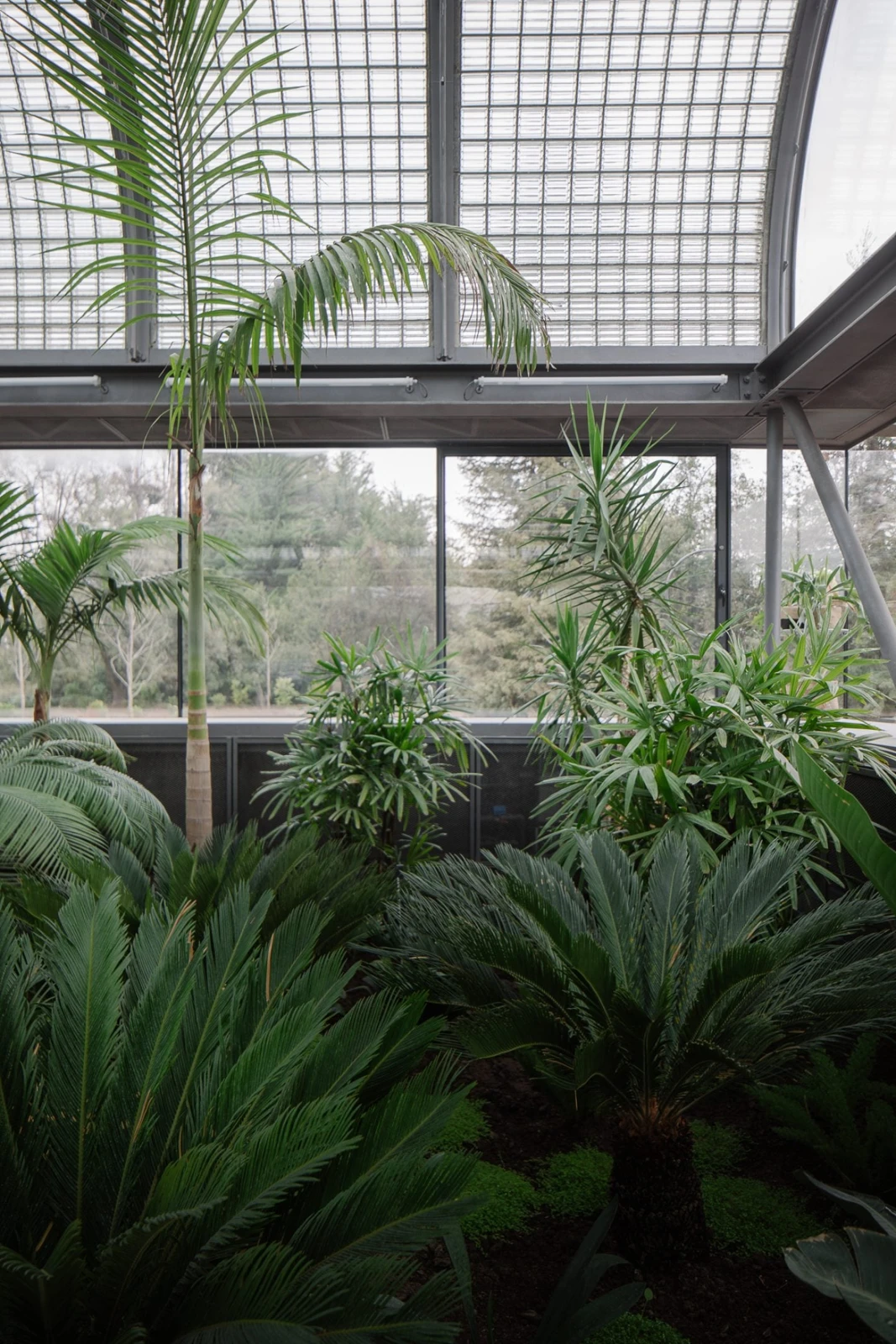 Casa de Vidrio, de Max Núñez Arquitectos: invernadero de plantas tropicales con bóvedas de vidrio en Pirque.