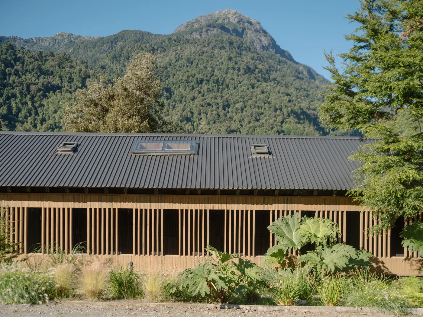 Tawa Lodge — Marcos Zegers