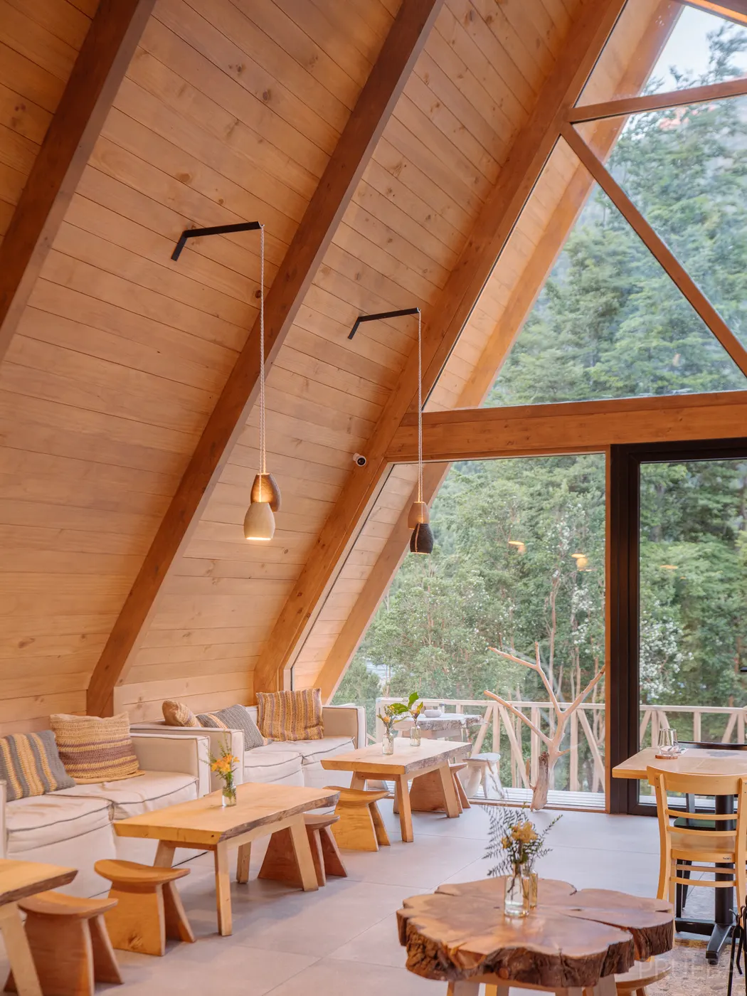 Tawa Lodge — Marcos Zegers