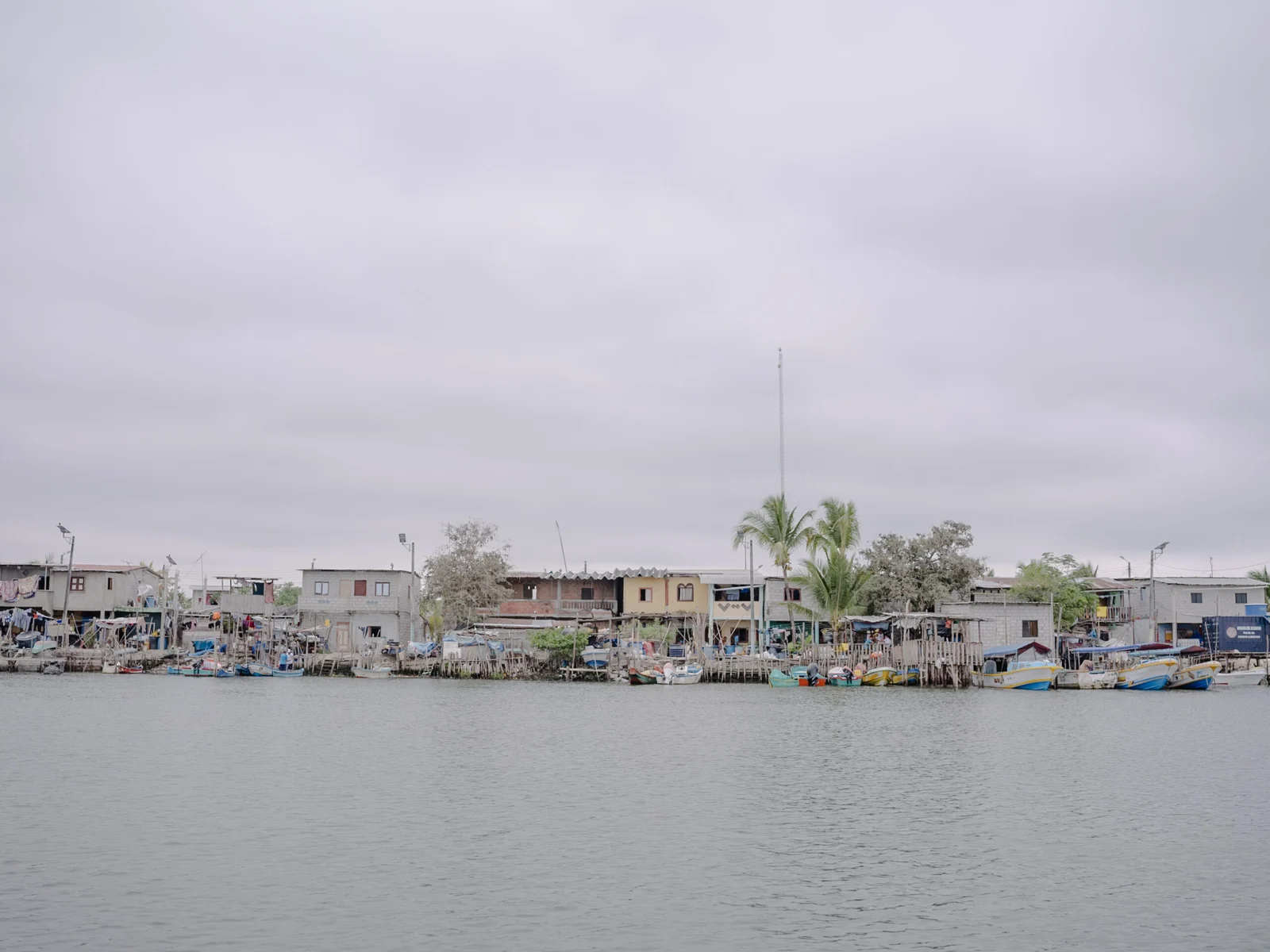 Shrimp Farming, Ecuador — Marcos Zegers