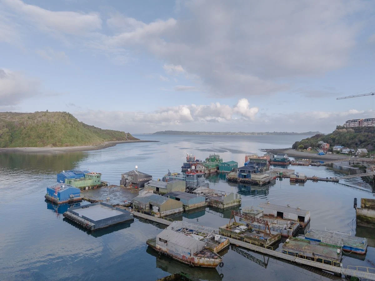 The Wild West of Fish Farming — Marcos Zegers
