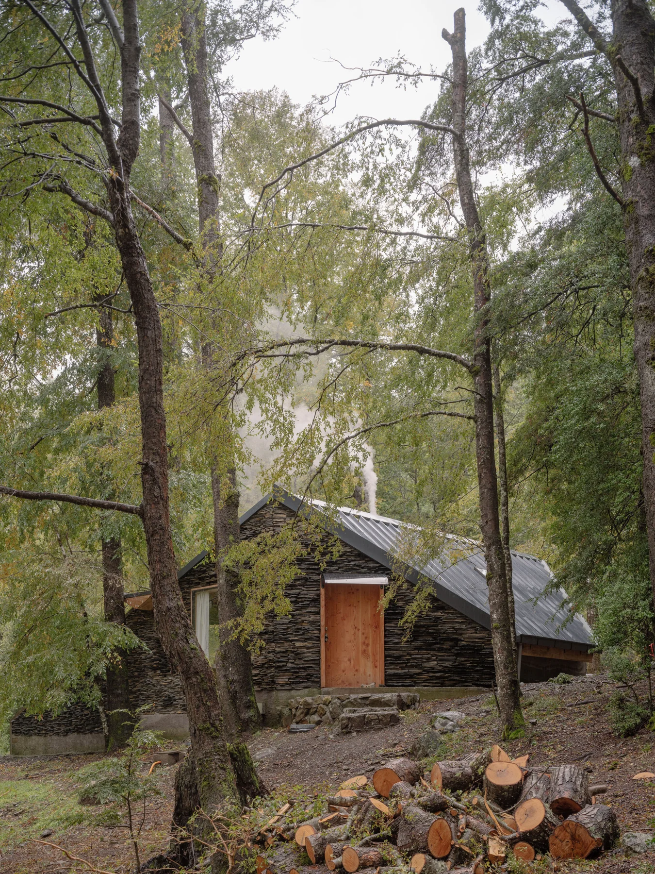 Huerquehue Refuge / DRAA - Exterior Photography, Wood, Forest