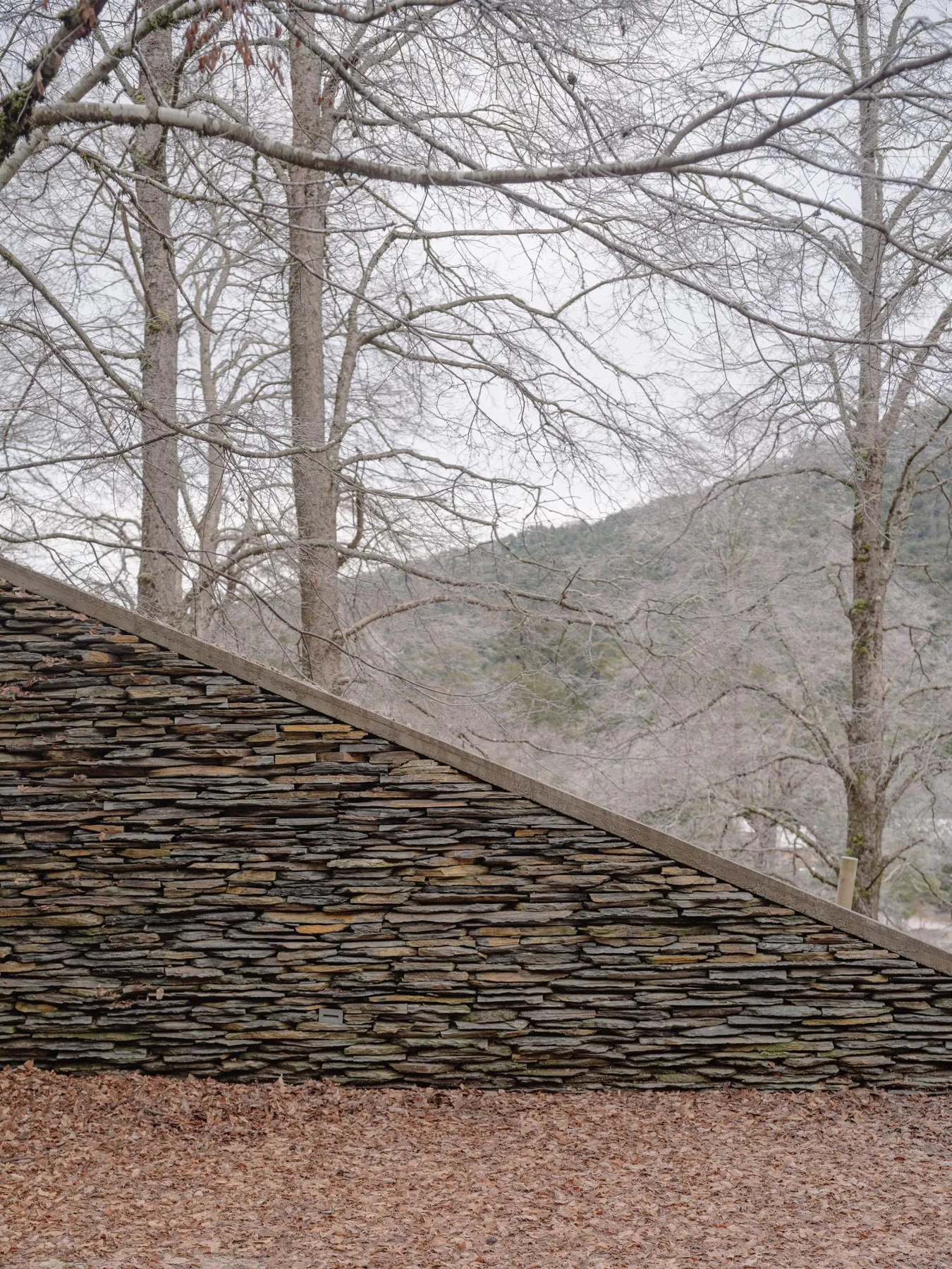 DRAA / Del Rio Arquitectos Asociados, Marcos Zegers · Huerquehue Refuge