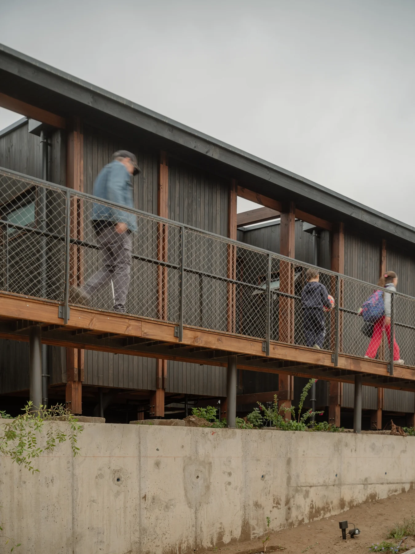 Los Pinos House / Espiral Arquitectos - Exterior Photography, Wood, Handrail, Balcony, Deck