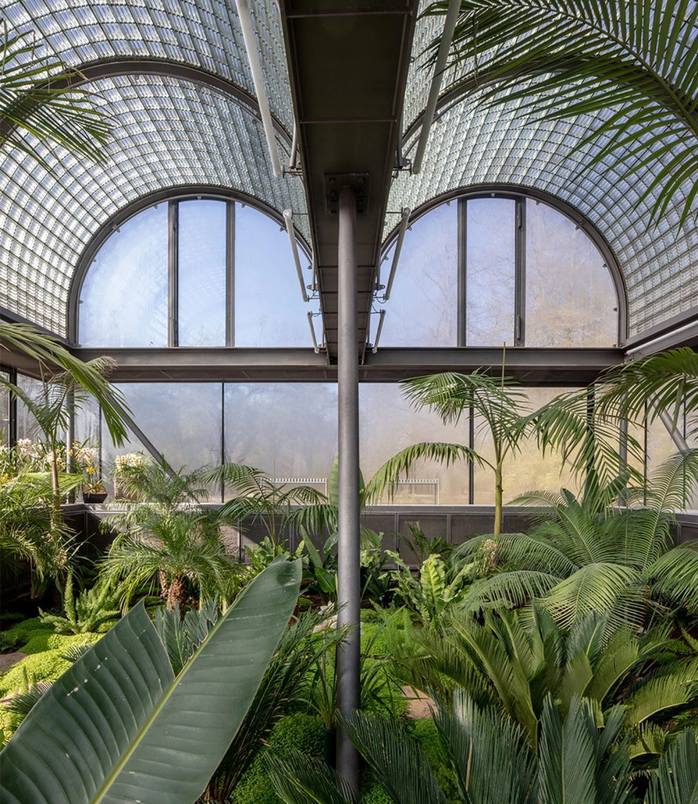 Casa de Vidrio, de Max Núñez Arquitectos: invernadero de plantas tropicales con bóvedas de vidrio en Pirque.