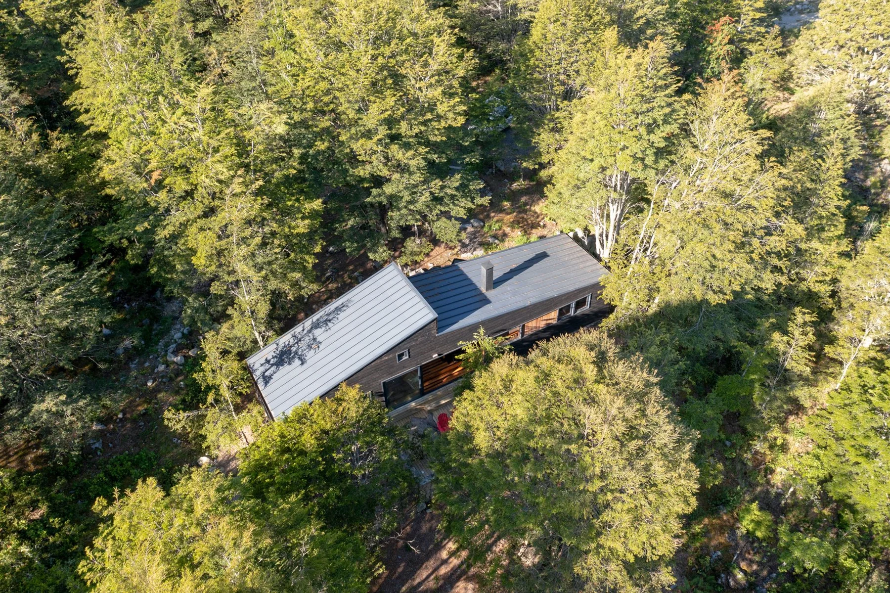 Old Stream House / Hebra Arquitectos - Exterior Photography, Forest