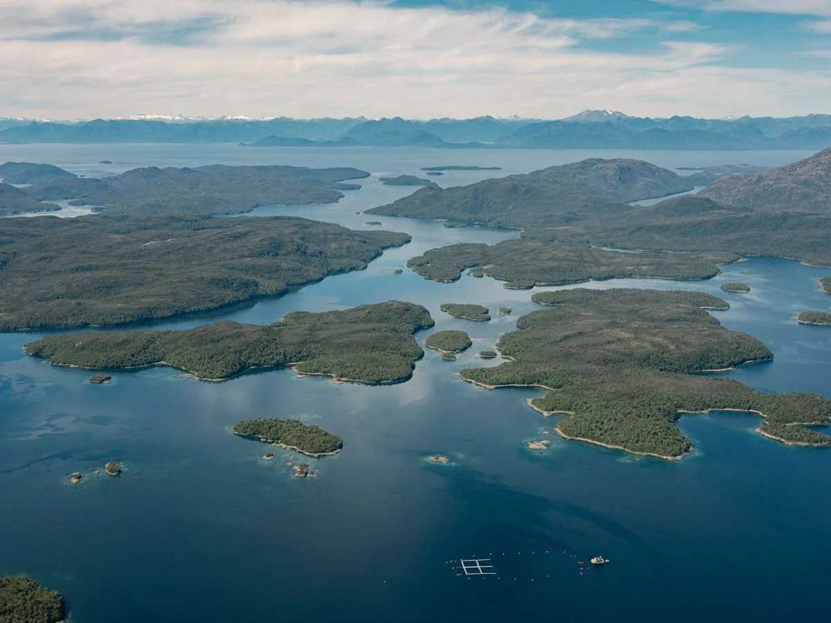 The Wild West of Fish Farming — Marcos Zegers