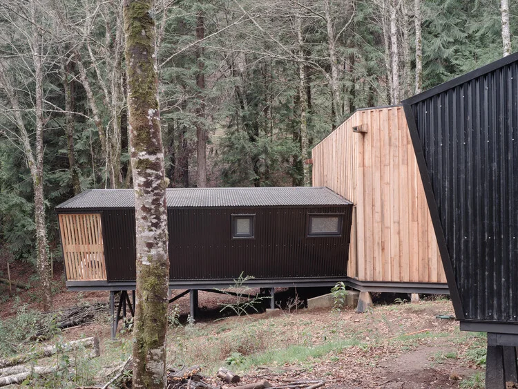 RH House Corridor + Module / Lucas Maino Fernandez - Exterior Photography, Windows, Forest