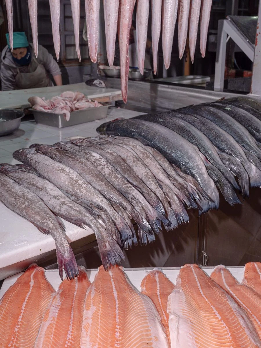 The Wild West of Fish Farming — Marcos Zegers
