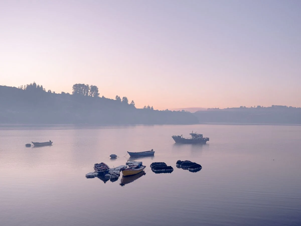 The Wild West of Fish Farming — Marcos Zegers