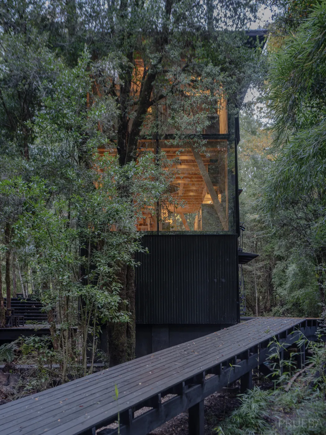 Casa Huilo Huilo — Marcos Zegers