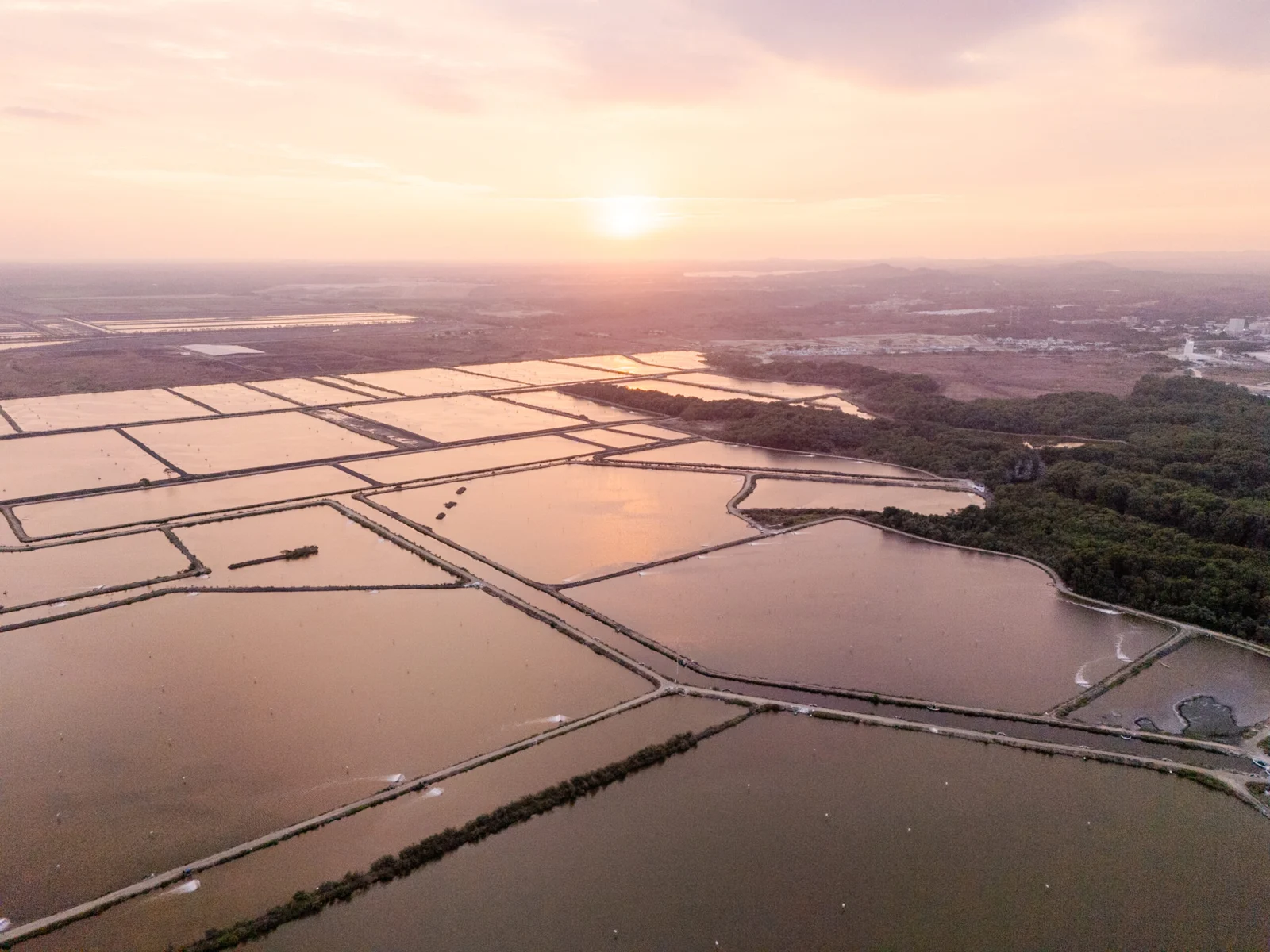 Shrimp Farming, Ecuador — Marcos Zegers