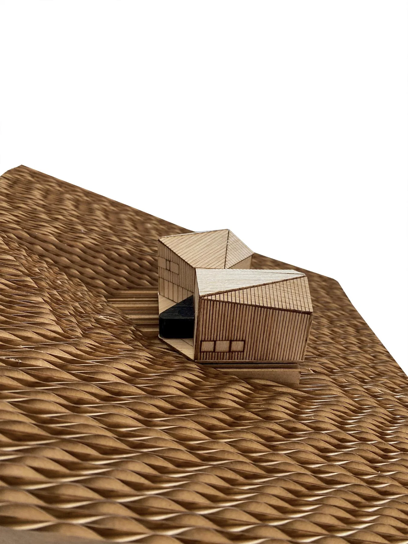 Hebra Arquitectos, Marcos Zegers · Palo Quemado House
