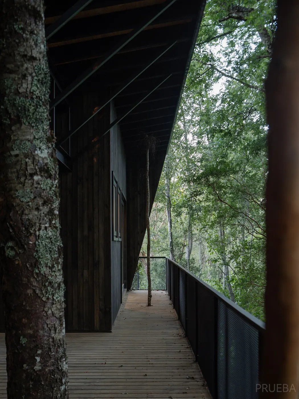 Casa Molco — Marcos Zegers