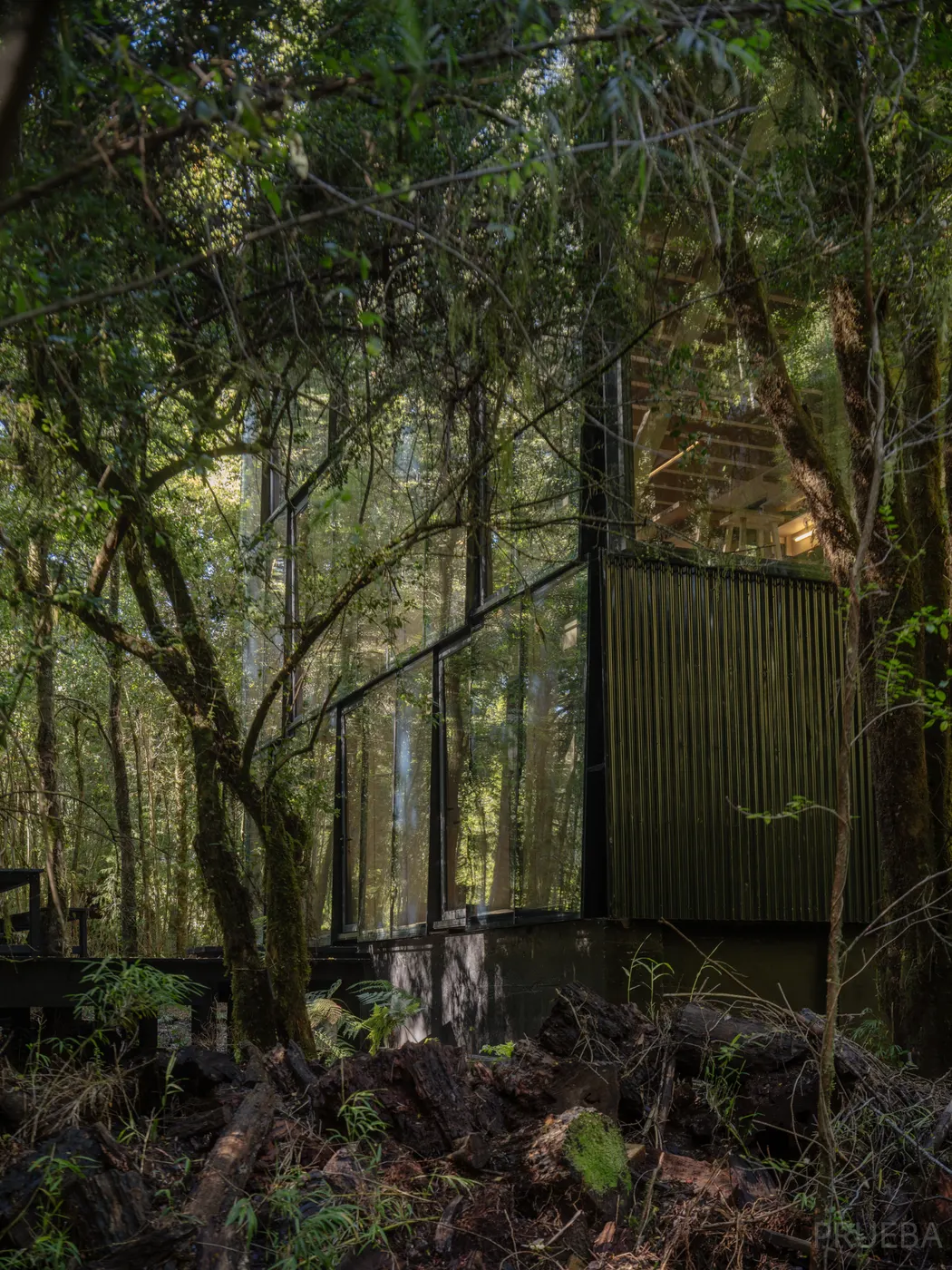 Casa Huilo Huilo — Marcos Zegers