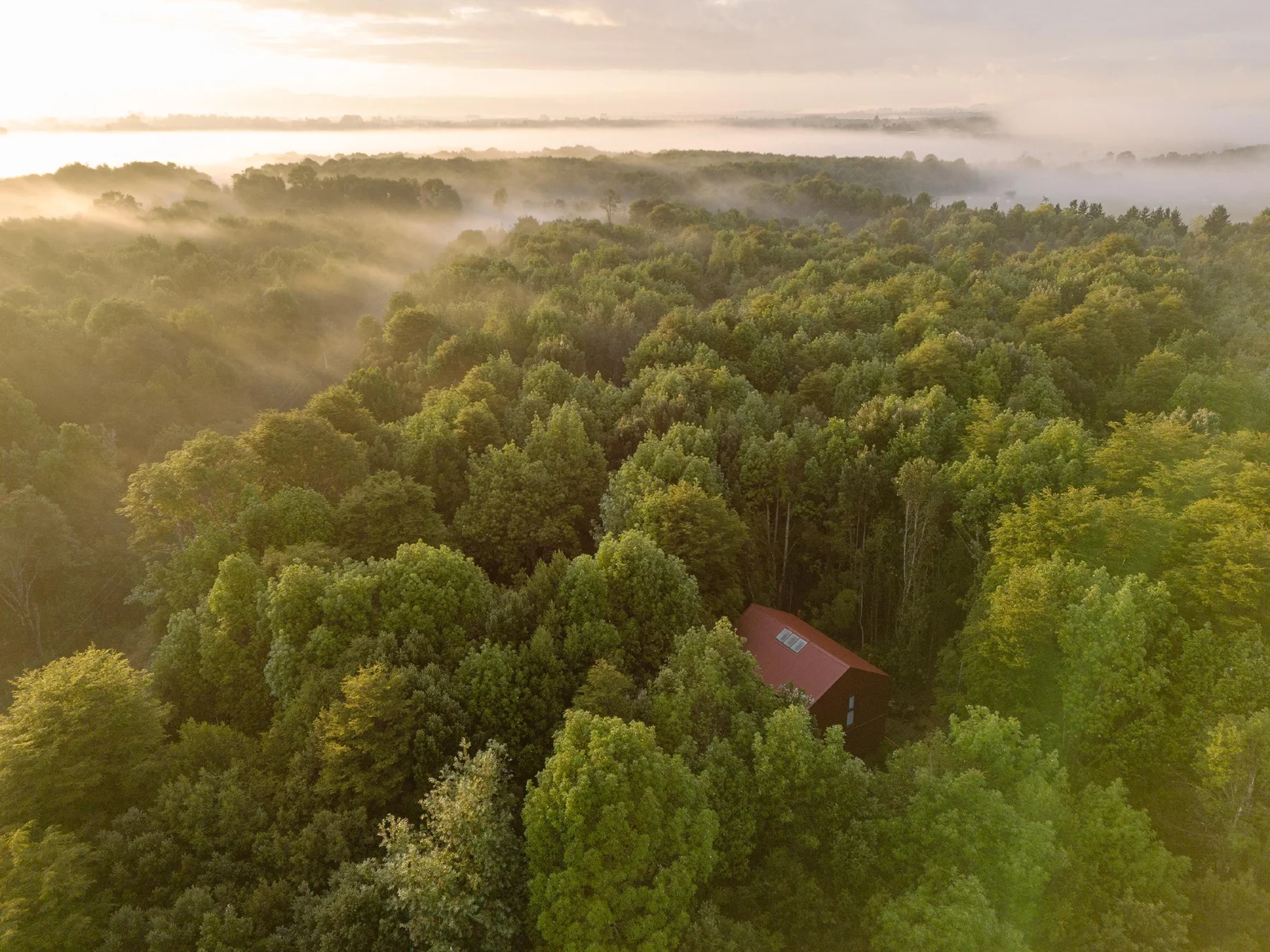 Daiber Aceituno Arquitectos, Marcos Zegers · HOUSE IN THE FOREST