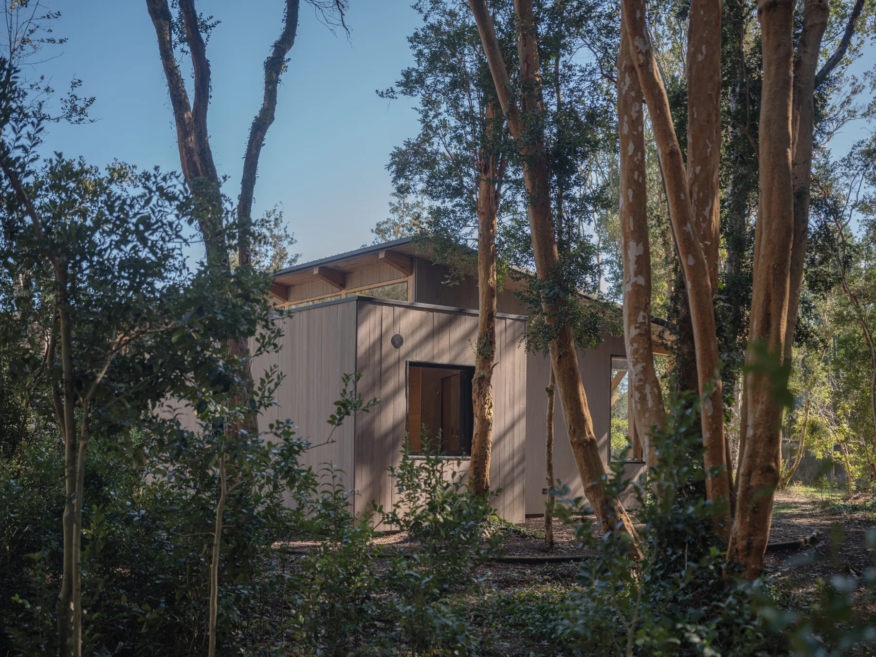 The Arboreto House / Camila Pineda Arquitectura - Exterior Photography, Wood