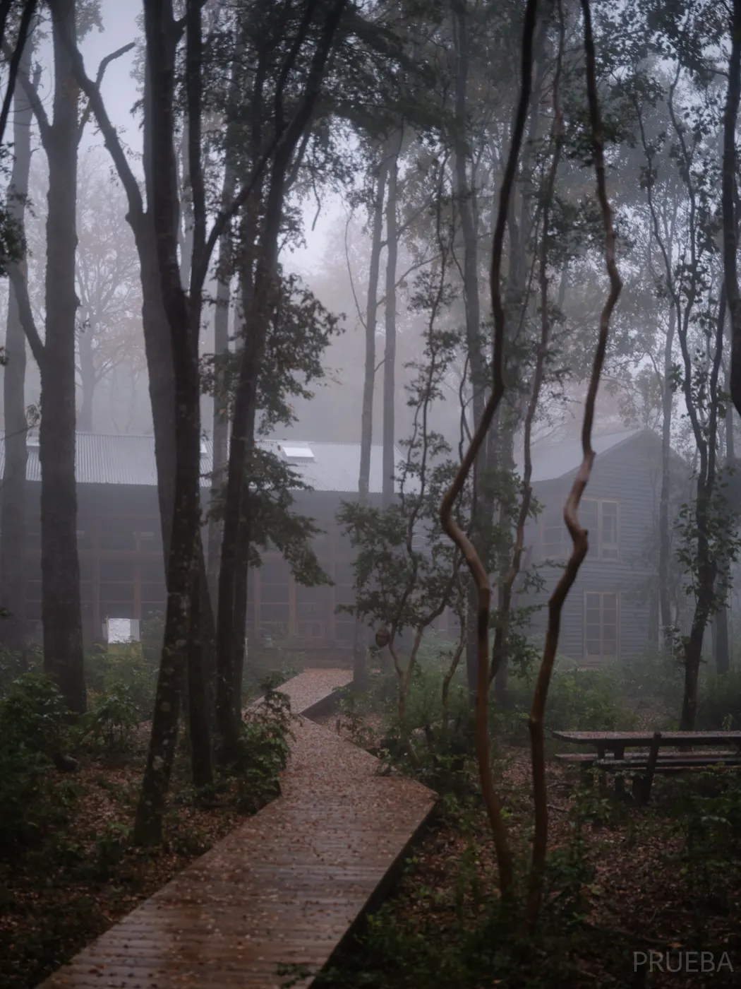 Casa Lyon Concha — Marcos Zegers