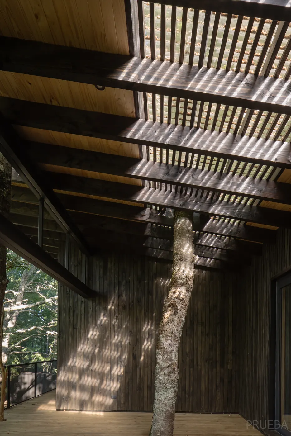 Casa Molco — Marcos Zegers