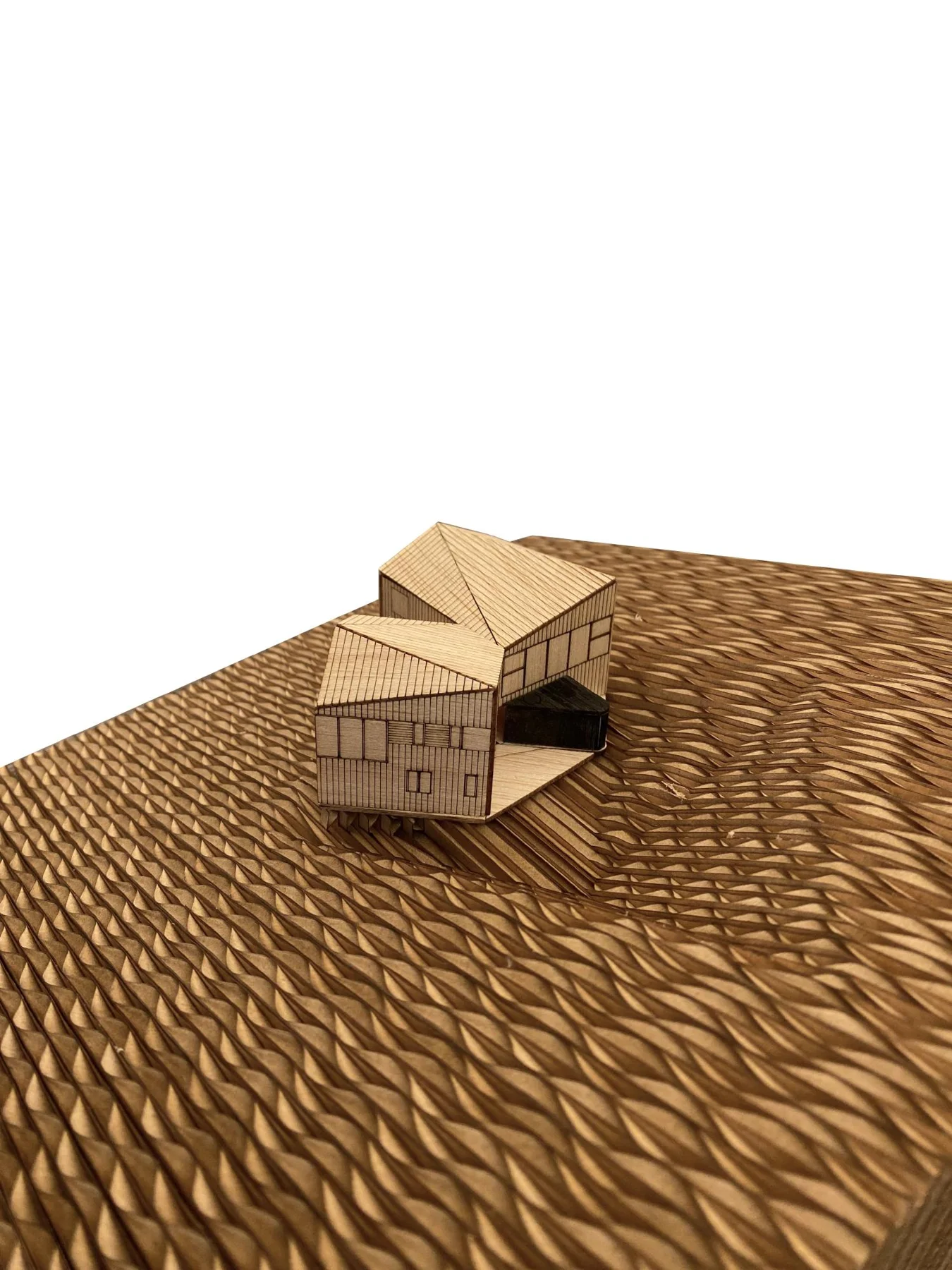 Hebra Arquitectos, Marcos Zegers · Palo Quemado House