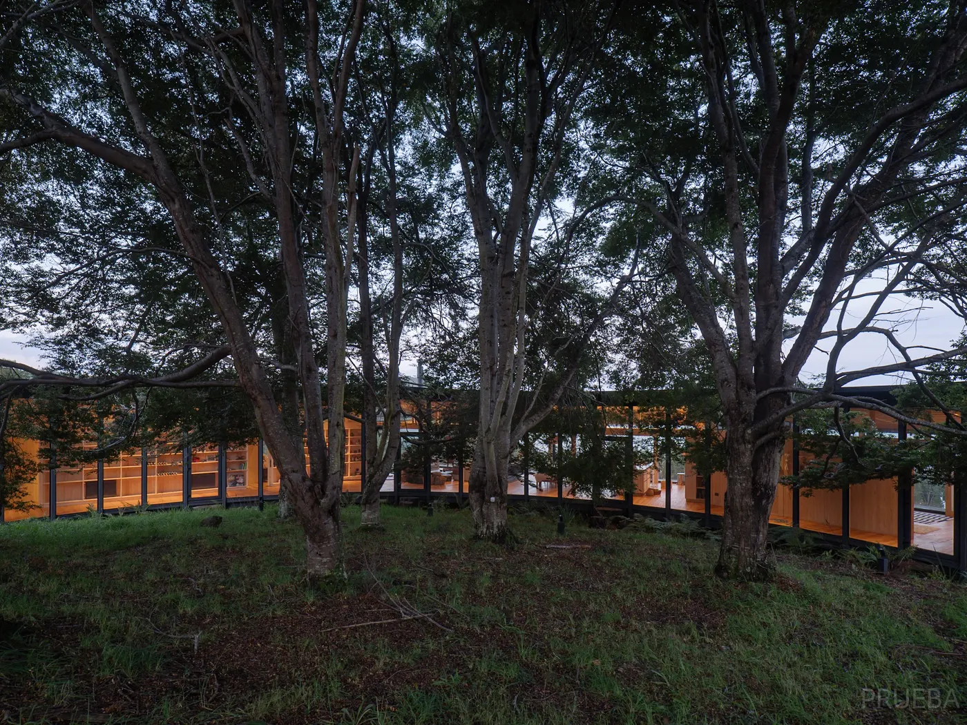 Casa Teupa — Marcos Zegers