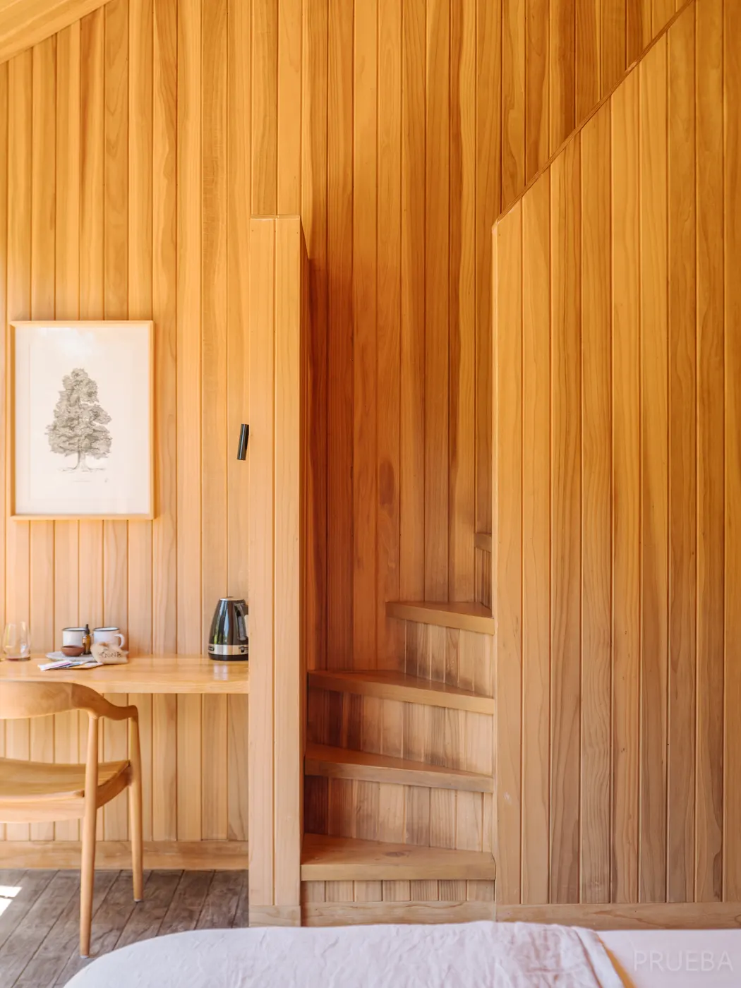 Tawa Lodge — Marcos Zegers