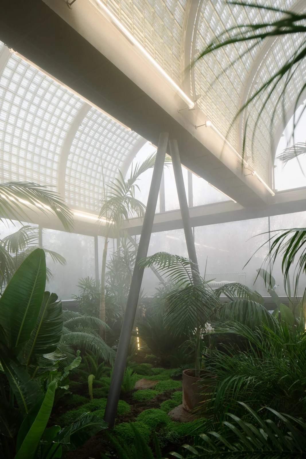 Casa de Vidrio, de Max Núñez Arquitectos: invernadero de plantas tropicales con bóvedas de vidrio en Pirque.