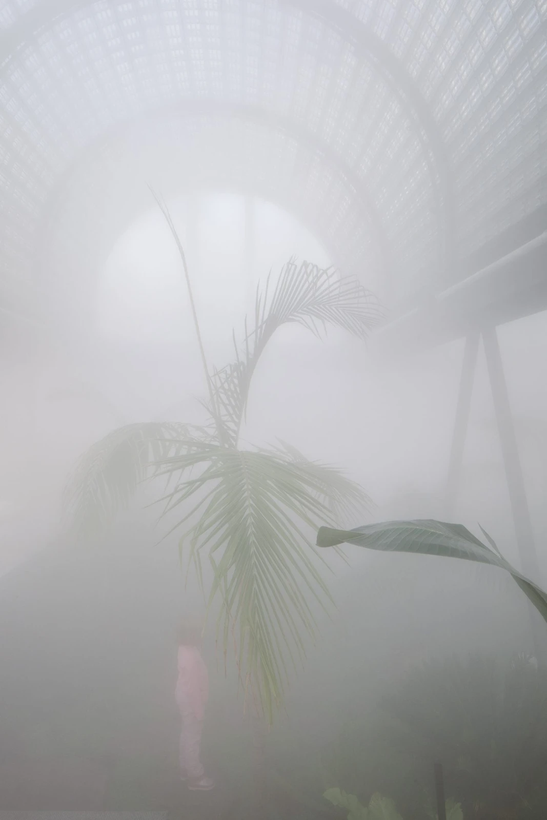 Casa de Vidrio, de Max Núñez Arquitectos: invernadero de plantas tropicales con bóvedas de vidrio en Pirque.