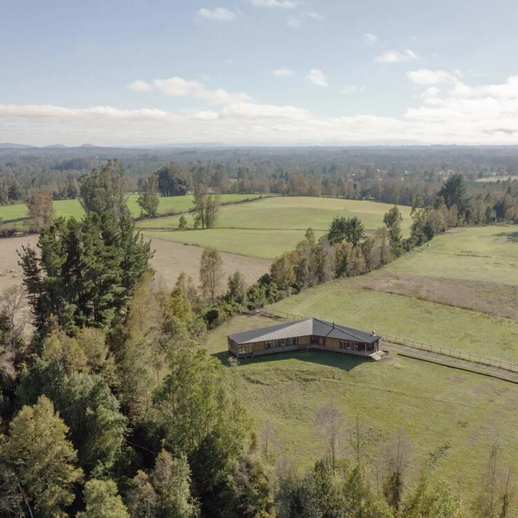 Bumeran House / Lucas Maino Fernandez - Exterior Photography, Windows, Forest