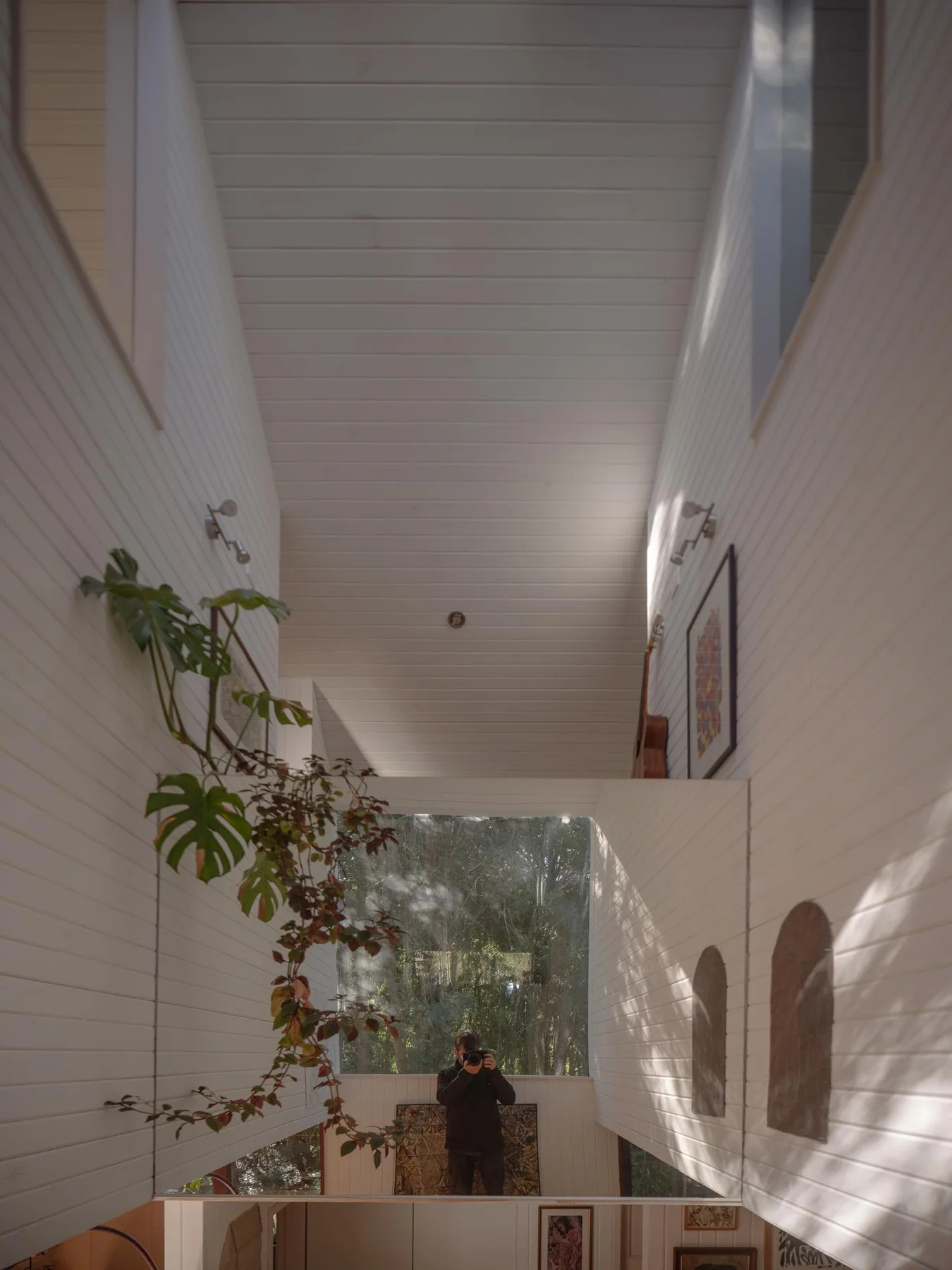 Daiber Aceituno Arquitectos, Marcos Zegers · HOUSE IN THE FOREST