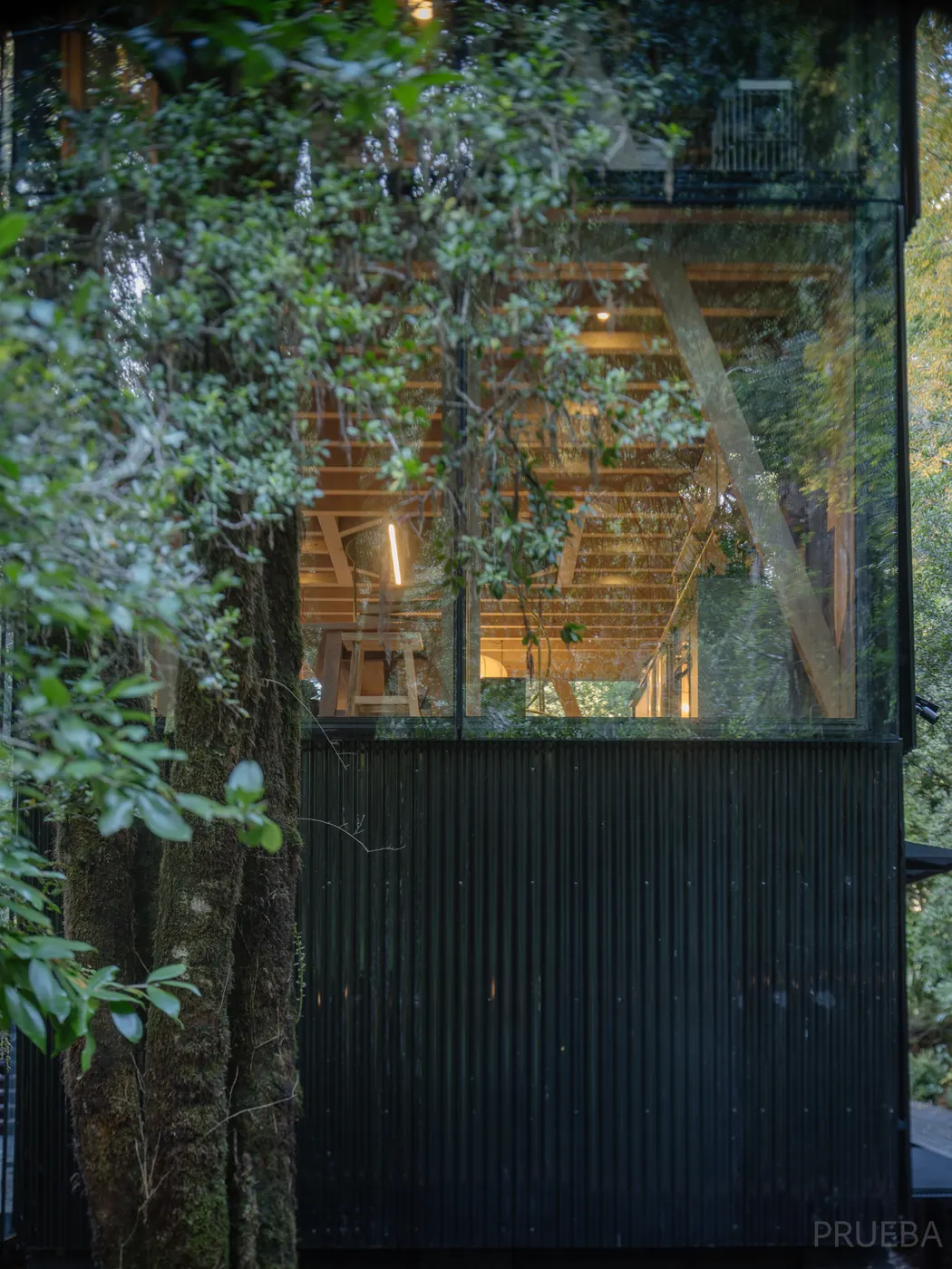 Casa Huilo Huilo — Marcos Zegers