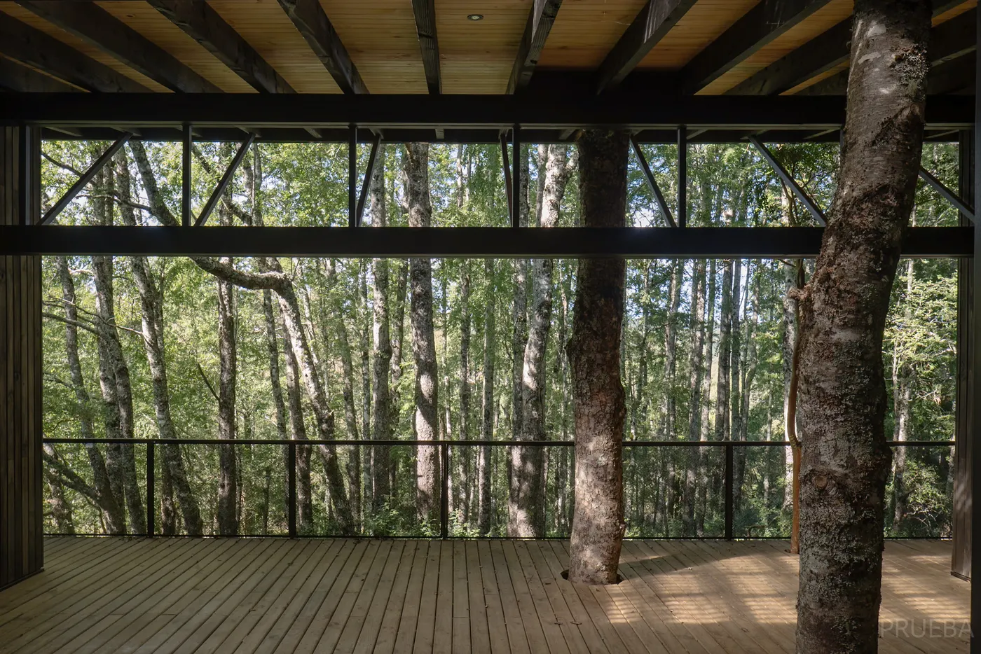 Casa Molco — Marcos Zegers