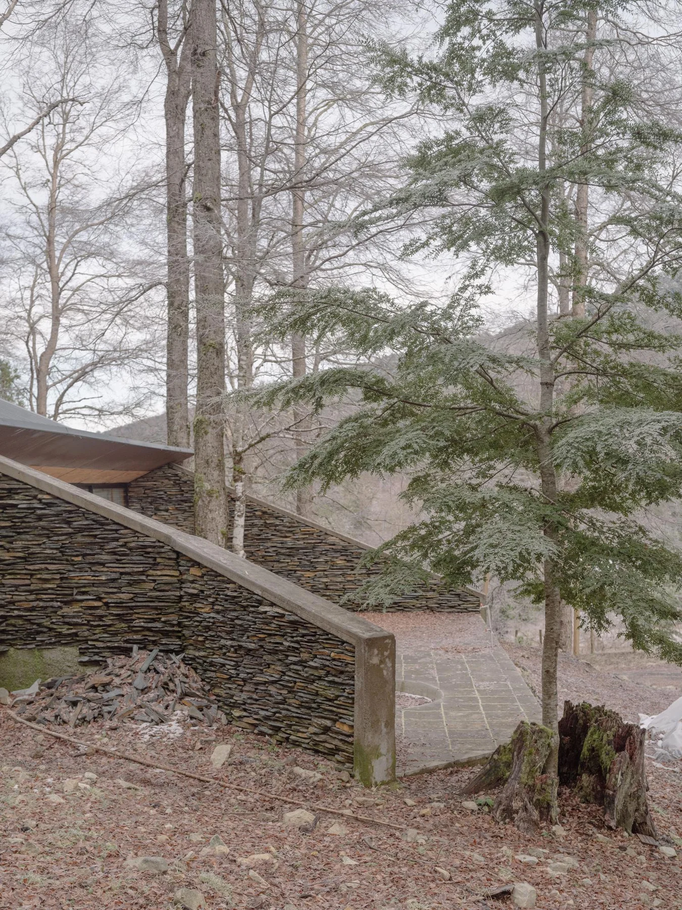 DRAA / Del Rio Arquitectos Asociados, Marcos Zegers · Huerquehue Refuge
